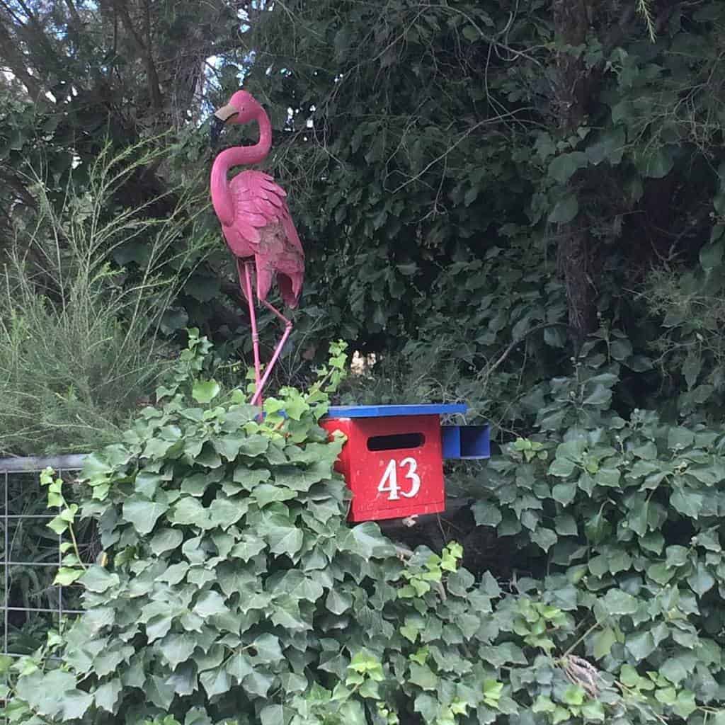 Flamingo letterbox