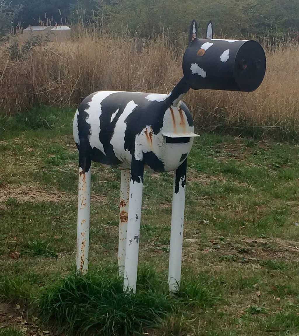 Long legged cow letterbox.