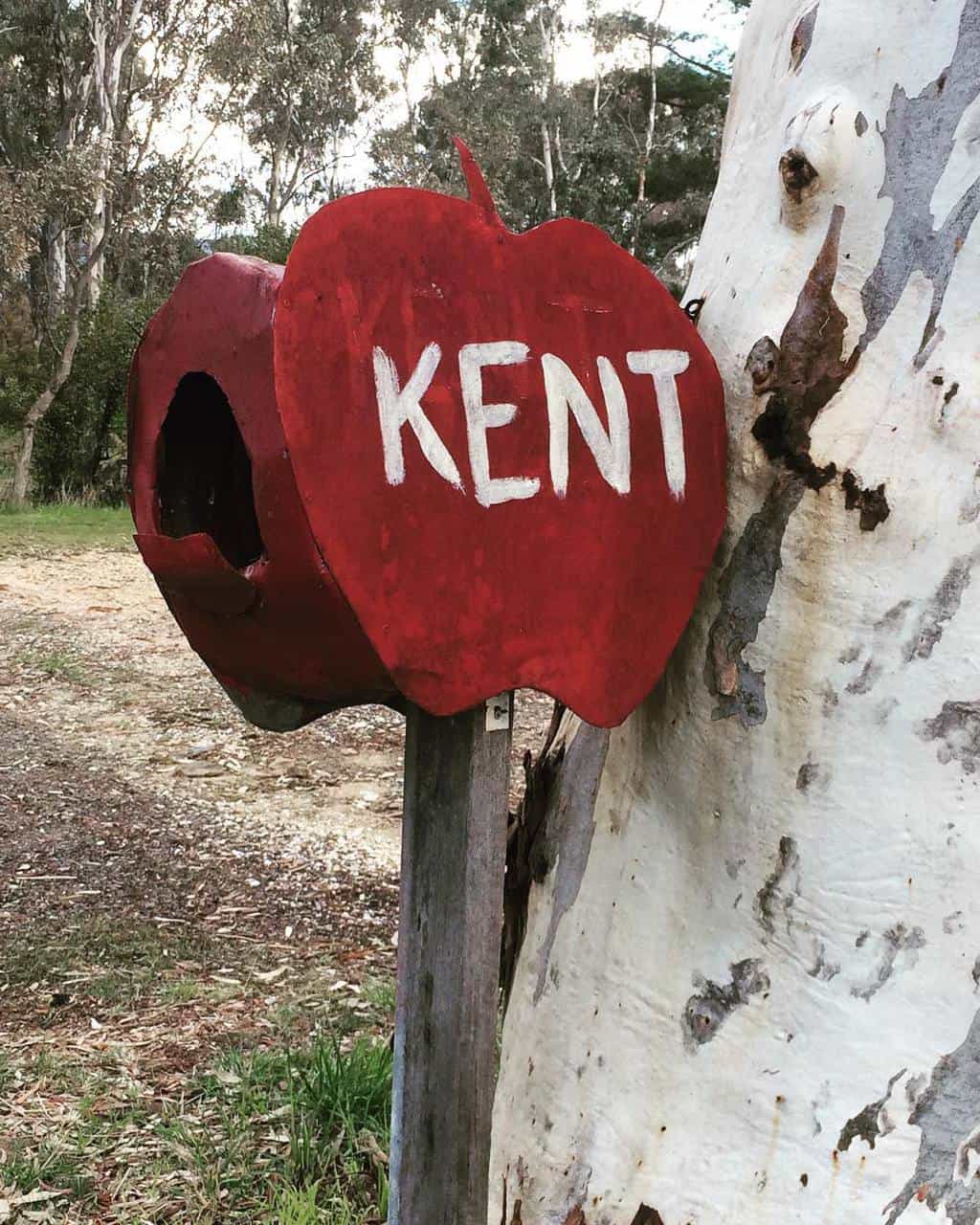 Apple shaped letterbox