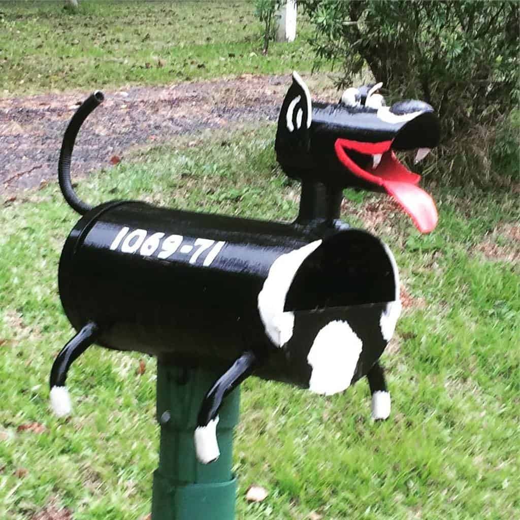 Happy little daschund dog letterbox