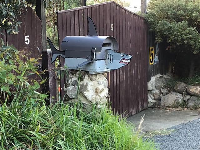 Beware of the shark letterbox