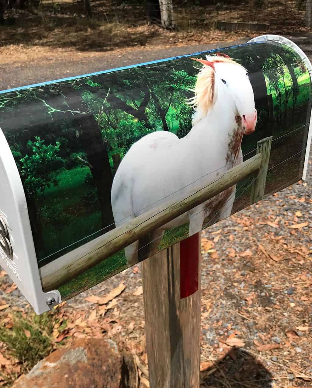 Excellent horse letterbox