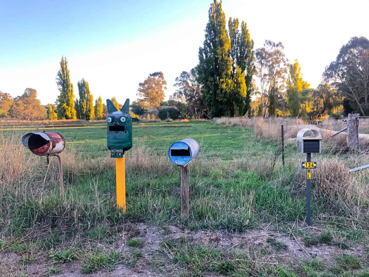Surprised letterbox with his friends